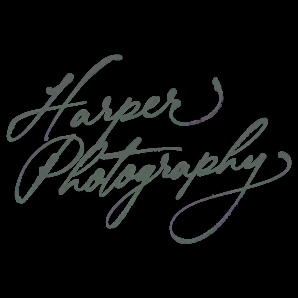signature photography watermark logo design